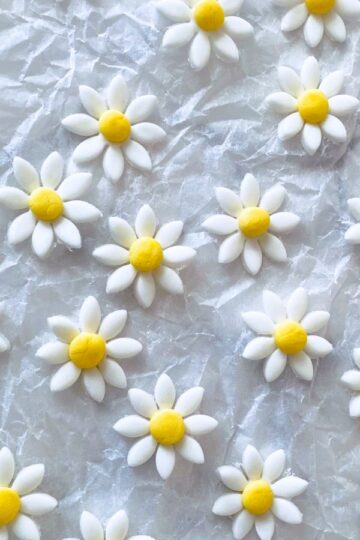 Fondant daisies cut out