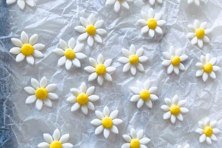 Fondant daisies cut out