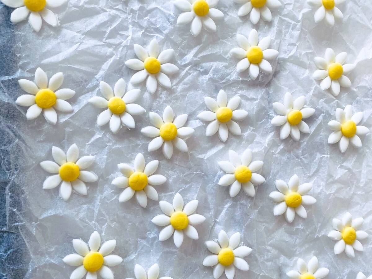 Fondant Daisies