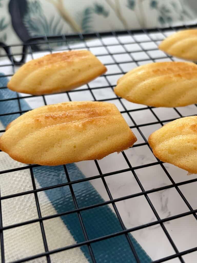 Madeleines cooling on a tray