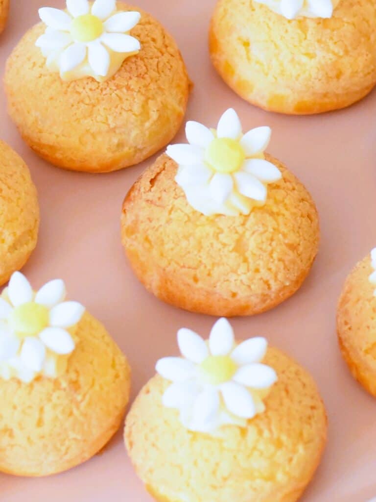 close up of vanilla daisy choux puffs