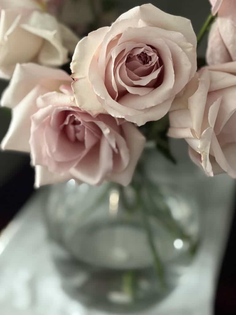 Hosting an afternoon tea at home with Blush roses in a vase